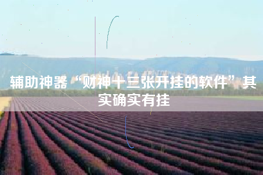 辅助神器“财神十三张开挂的软件”其实确实有挂