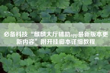 必备科技“麒麟大厅辅助app最新版本更新内容	”附开挂脚本详细教程