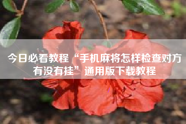 今日必看教程“手机麻将怎样检查对方有没有挂”通用版下载教程