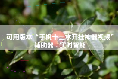 可用版本“手机十三水开挂神器视频	”辅助器 - 实时智能