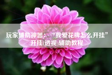 玩家辅助神器：“我爱花牌怎么开挂”开挂(透视)辅助教程