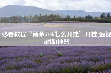 必看教程“新余510k怎么开挂	”开挂(透视)辅助神器