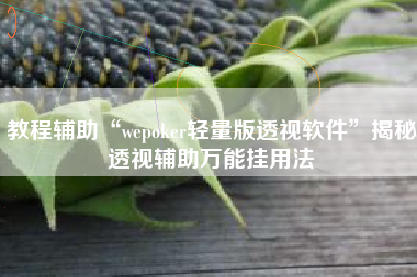 教程辅助“wepoker轻量版透视软件”揭秘透视辅助万能挂用法