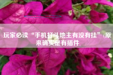 玩家必读“手机打斗地主有没有挂”(原来确实是有插件