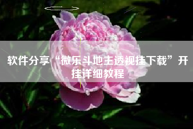 软件分享“微乐斗地主透视挂下载	”开挂详细教程