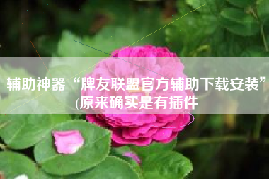 辅助神器“牌友联盟官方辅助下载安装	”(原来确实是有插件