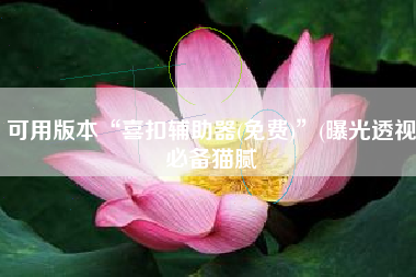 可用版本“喜扣辅助器(免费)”(曝光透视必备猫腻