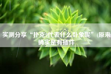 实测分享“扑克9代表什么卦象呢”(原来确实是有插件