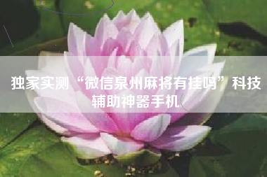 独家实测“微信泉州麻将有挂吗”科技辅助神器手机