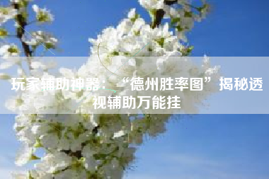 玩家辅助神器：“德州胜率图	”揭秘透视辅助万能挂