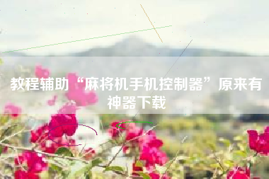 教程辅助“麻将机手机控制器	”原来有神器下载