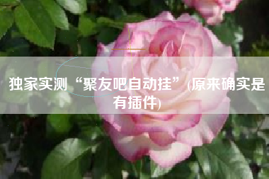 独家实测“聚友吧自动挂”(原来确实是有插件)