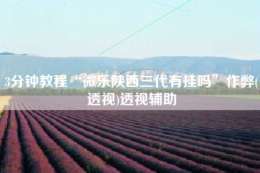 3分钟教程“微乐陕西三代有挂吗	”作弊(透视)透视辅助