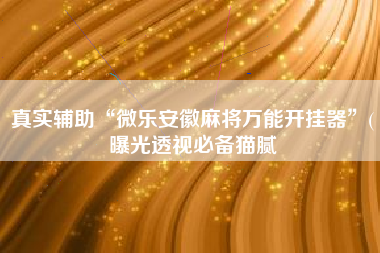 真实辅助“微乐安徽麻将万能开挂器”(曝光透视必备猫腻