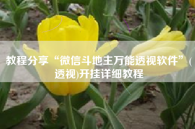 教程分享“微信斗地主万能透视软件	”(透视)开挂详细教程