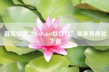 真实辅助“WePoker软件挂	”原来有神器下载