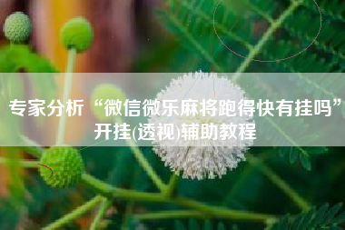 专家分析“微信微乐麻将跑得快有挂吗”开挂(透视)辅助教程