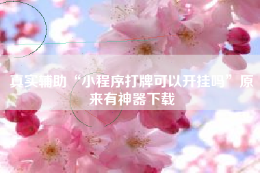 真实辅助“小程序打牌可以开挂吗	”原来有神器下载