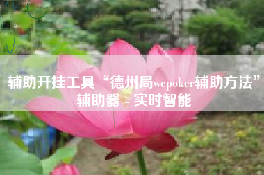 辅助开挂工具“德州局wepoker辅助方法”辅助器 - 实时智能