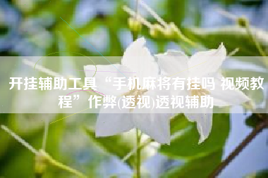 开挂辅助工具“手机麻将有挂吗 视频教程”作弊(透视)透视辅助