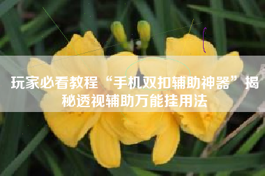 玩家必看教程“手机双扣辅助神器”揭秘透视辅助万能挂用法