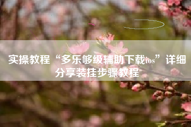 实操教程“多乐够级辅助下载ios”详细分享装挂步骤教程