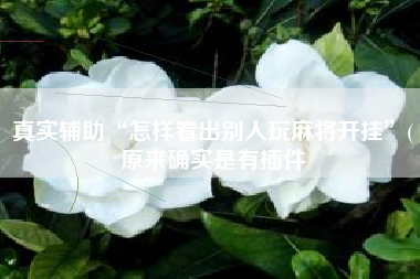 真实辅助“怎样看出别人玩麻将开挂”(原来确实是有插件