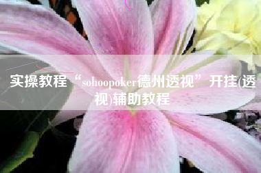 实操教程“sohoopoker德州透视”开挂(透视)辅助教程