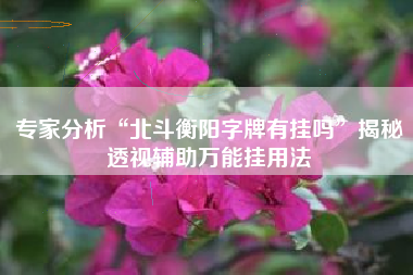 专家分析“北斗衡阳字牌有挂吗	”揭秘透视辅助万能挂用法