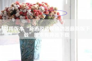 可用版本“新道游透视辅助器最新版下载”原来有神器下载