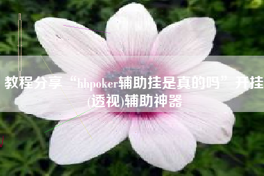 教程分享“hhpoker辅助挂是真的吗	”开挂(透视)辅助神器