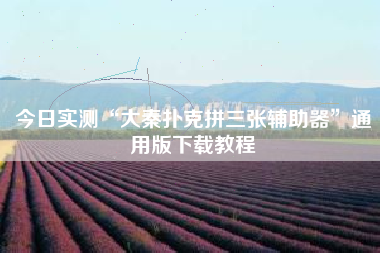 今日实测“大秦扑克拼三张辅助器”通用版下载教程