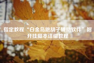 指定教程“白金岛跑胡子辅助软件”附开挂脚本详细教程