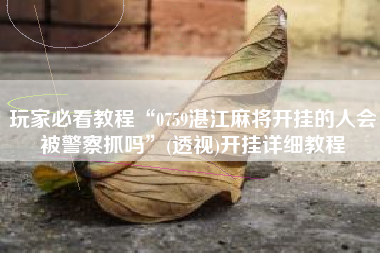 玩家必看教程“0759湛江麻将开挂的人会被警察抓吗”(透视)开挂详细教程