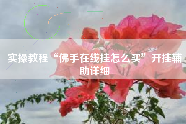 实操教程“佛手在线挂怎么买”开挂辅助详细