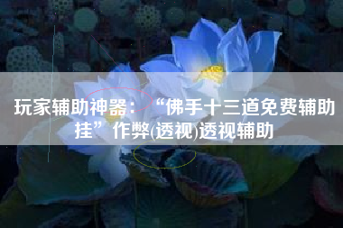 玩家辅助神器：“佛手十三道免费辅助挂	”作弊(透视)透视辅助