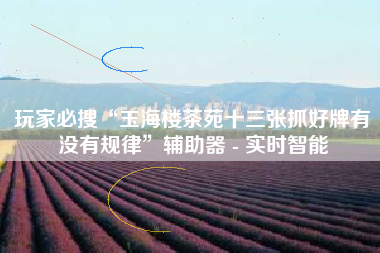 玩家必搜“玉海楼茶苑十三张抓好牌有没有规律	”辅助器 - 实时智能