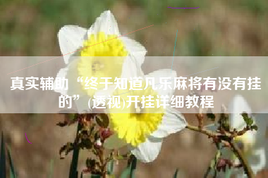 真实辅助“终于知道凡乐麻将有没有挂的”(透视)开挂详细教程