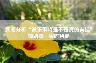 实测分析“微乐麻将是不是真的有挂	”辅助器 - 实时智能