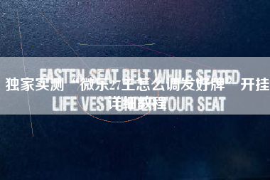 独家实测“微乐27王怎么调发好牌	”开挂详细教程