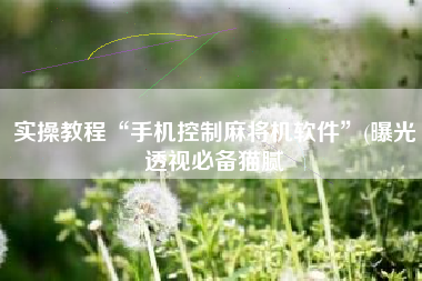 实操教程“手机控制麻将机软件	”(曝光透视必备猫腻