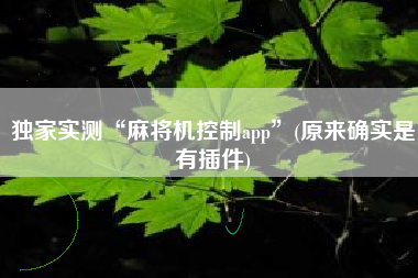 独家实测“麻将机控制app	”(原来确实是有插件)