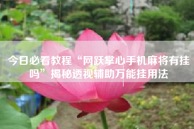 今日必看教程“网跃掌心手机麻将有挂吗	”揭秘透视辅助万能挂用法