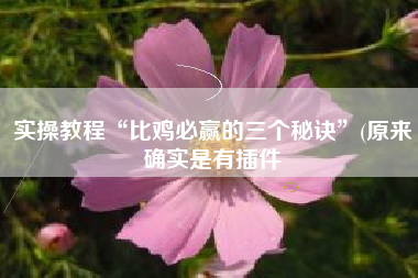 实操教程“比鸡必赢的三个秘诀	”(原来确实是有插件