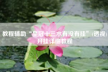 教程辅助“皇冠十三水有没有挂”(透视)开挂详细教程