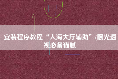 安装程序教程“人海大厅辅助”(曝光透视必备猫腻