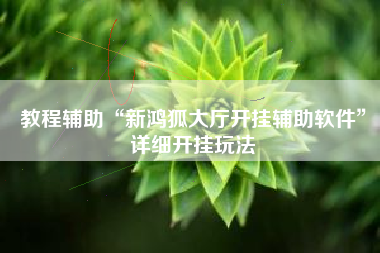 教程辅助“新鸿狐大厅开挂辅助软件”详细开挂玩法