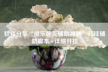 软件分享“微乐卧龙辅助神器”开挂辅助脚本+详细开挂