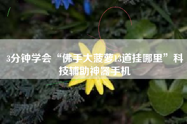 3分钟学会“佛手大菠萝13道挂哪里”科技辅助神器手机