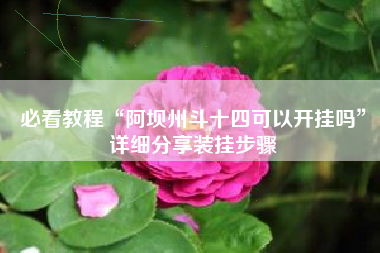 必看教程“阿坝州斗十四可以开挂吗”详细分享装挂步骤